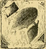 An illustration from The book of sun-dials; originally compiled by the late Mrs. Alfred Gatty; now enl. and re-edited by H. K. F. Eden and Eleanor Lloyd (1900)