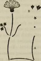 An illustration from The binding of books; an essay in the history of gold-tooled bindings (1894)