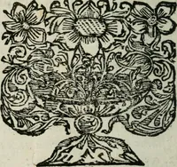 An illustration from Bos in lingua sive discursus academicus de pecuniis vetero-novis a Joanne Stephano Floriantschitsch de Grienfeld .. (1695)