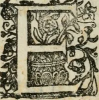 An illustration from Bos in lingua sive discursus academicus de pecuniis vetero-novis a Joanne Stephano Floriantschitsch de Grienfeld .. (1695)
