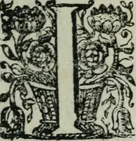 Picture 3 of 11 from Bos in lingua sive discursus academicus de pecuniis vetero-novis a Joanne Stephano Floriantschitsch de Grienfeld .. (1695), leaf 8