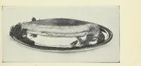 An illustration from The Boston cooking-school cook book (1918)