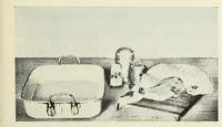 Picture 5 of 12 from The Boston cooking-school cook book (1918), leaf 309