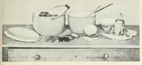 An illustration from The Boston cooking-school cook book (1918)