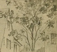 An illustration from Boston Herald-Traveler's book of homes : how to plan, finance and build your home (1922)