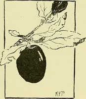An illustration from Boston public schools : outline of lessons in drawing, 1898-99 (1898)