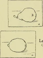 Picture 43 of 174 from Boston public schools : outline of lessons in drawing, 1898-99 (1898), leaf 119