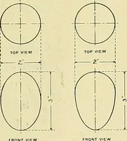 An illustration from Boston public schools : outline of lessons in drawing, 1898-99 (1898)