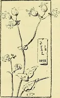Picture 78 of 174 from Boston public schools : outline of lessons in drawing, 1898-99 (1898), leaf 157