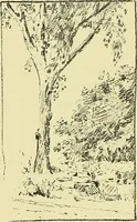 An illustration from Boston public schools : outline of lessons in drawing, 1898-99 (1898)