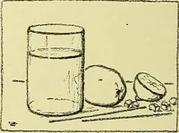 Picture 83 of 174 from Boston public schools : outline of lessons in drawing, 1898-99 (1898), leaf 161