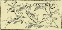 Picture 97 of 174 from Boston public schools : outline of lessons in drawing, 1898-99 (1898), leaf 177