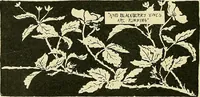 Picture 98 of 174 from Boston public schools : outline of lessons in drawing, 1898-99 (1898), leaf 177