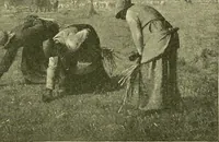 Picture 103 of 174 from Boston public schools : outline of lessons in drawing, 1898-99 (1898), leaf 184