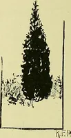 An illustration from Boston public schools : outline of lessons in drawing, 1898-99 (1898)