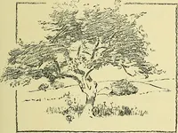 An illustration from Boston public schools : outline of lessons in drawing, 1898-99 (1898)