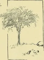 An illustration from Boston public schools : outline of lessons in drawing, 1898-99 (1898)