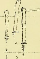 An illustration from Boston public schools : outline of lessons in drawing, 1898-99 (1898)
