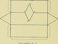 Picture 138 of 174 from Boston public schools : outline of lessons in drawing, 1898-99 (1898), leaf 211