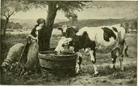An illustration from Boston public schools : outline of lessons in drawing, 1898-99 (1898)