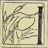 An illustration from Boston public schools : outline of lessons in drawing, 1898-99 (1898)