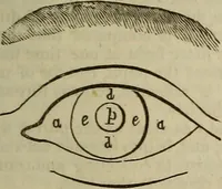 An illustration from The Boston school compendium of natural and experimental philosophy .. (1837)