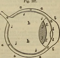 An illustration from The Boston school compendium of natural and experimental philosophy .. (1837)