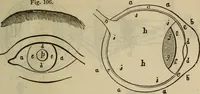 Picture 99 of 119 from The Boston school compendium of natural and experimental philosophy .. (1837), leaf 254