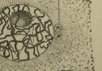 An illustration from Botanical microtechnique (1893)
