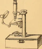 An illustration from The botanist's companion; or, Directions for the use of the microscope (1860)