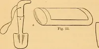 An illustration from The botanist's companion; or, Directions for the use of the microscope (1860)