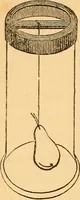 An illustration from The botanist's companion; or, Directions for the use of the microscope (1860)