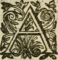 Picture 19 of 40 from Bouclier sacré de patience -- (1631), leaf 366