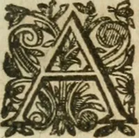 Picture 20 of 40 from Bouclier sacré de patience -- (1631), leaf 374