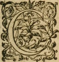Picture 22 of 40 from Bouclier sacré de patience -- (1631), leaf 392