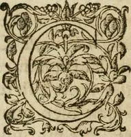 Picture 23 of 40 from Bouclier sacré de patience -- (1631), leaf 405