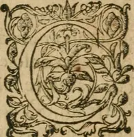 Picture 24 of 40 from Bouclier sacré de patience -- (1631), leaf 427