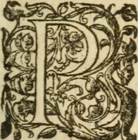 Picture 25 of 40 from Bouclier sacré de patience -- (1631), leaf 464