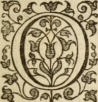 An illustration from Bowels opened : or, A discovery of the neere and deere love, union and communion betwixt Christ and the Church, and consequently betwixt Him and every beleeving soule ; Delivered in divers sermons on the fourth, fifth and sixt chapters of the Canticles (1641)