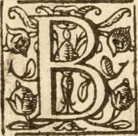 Picture 23 of 26 from Bowels opened : or, A discovery of the neere and deere love, union and communion betwixt Christ and the Church, and consequently betwixt Him and every beleeving soule ; Delivered in divers sermons on the fourth, fifth and sixt chapters of the Canticles (1641), leaf 407