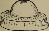 Picture 22 of 103 from The boy collector's handbook (1915), leaf 104