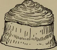 Picture 23 of 103 from The boy collector's handbook (1915), leaf 104