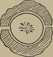 Picture 25 of 103 from The boy collector's handbook (1915), leaf 113