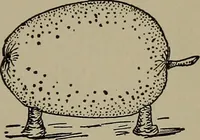 Picture 29 of 103 from The boy collector's handbook (1915), leaf 114
