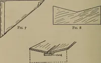 An illustration from The boy collector's handbook (1915)