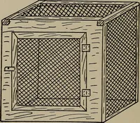 An illustration from The boy collector's handbook (1915)