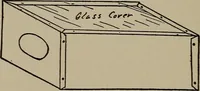 Picture 38 of 103 from The boy collector's handbook (1915), leaf 133
