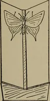 Picture 41 of 103 from The boy collector's handbook (1915), leaf 144