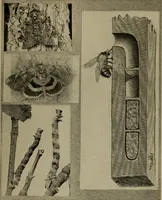 Picture 45 of 103 from The boy collector's handbook (1915), leaf 148