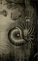 Picture 55 of 103 from The boy collector's handbook (1915), leaf 181